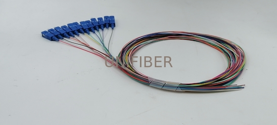 12 Fibers SC UPC fiber pigtail unjacketed color-coded 0.9mm 1m